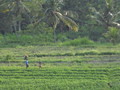 DSC00202