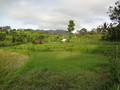 DSC00203