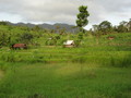 DSC00204