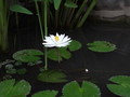 DSC00217