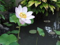 DSC00218