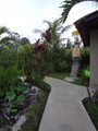 DSC00219