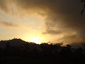 DSC00229