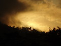 DSC00231
