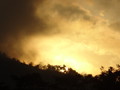 DSC00232