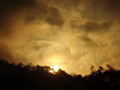 DSC00234