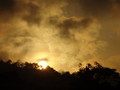 DSC00235