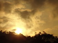 DSC00236