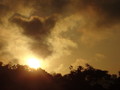 DSC00238