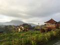 DSC00243