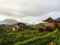 DSC00244
