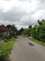 DSC00247