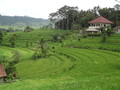 DSC00249