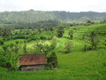 DSC00250