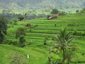 DSC00251