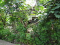 DSC00253
