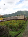 DSC00257