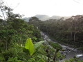 DSC00260