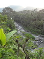 DSC00261