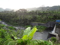 DSC00262