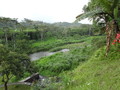 DSC00263