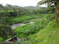 DSC00264