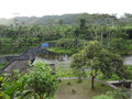 DSC00265