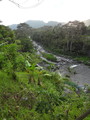 DSC00268