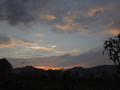 DSC00273