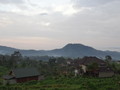 DSC00282