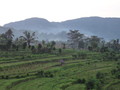 DSC00283