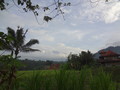 DSC00284