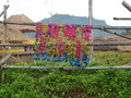 DSC00286