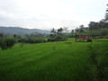 DSC00287