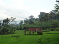 DSC00288
