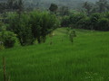 DSC00289