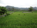 DSC00290