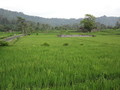 DSC00291