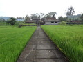DSC00292