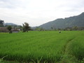 DSC00293
