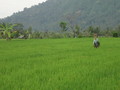DSC00294