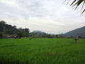 DSC00295