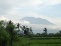 DSC00296