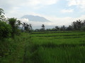 DSC00297