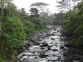 DSC00300