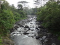 DSC00301