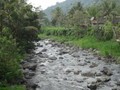 DSC00303