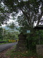 DSC00308