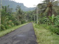 DSC00309