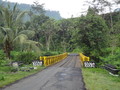 DSC00310